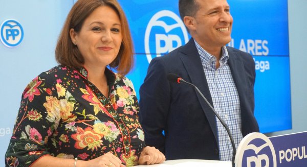 El PP exige a la Junta que ejerza su competencia y elabore un plan de actuación 'antimedusas'