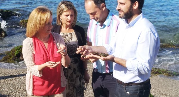 El PSOE pide al Ayuntamiento medidas para reducir el impacto negativo del plástico en el medio ambiente