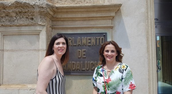 Escuelas Infantiles Unidas exige en el Parlamento Andaluz una Educación Infantil de 0 a 3 años universal y gratuita e indivisible