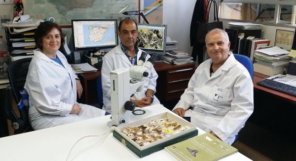 Desvelan cuáles son las zonas más favorables para la reproducción de las mariposas