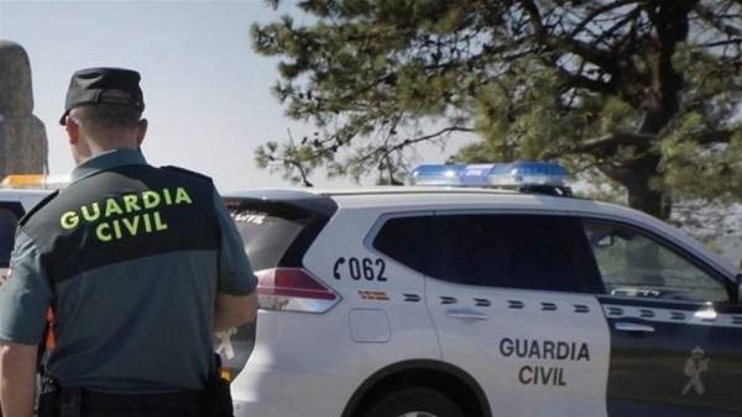Cae en Málaga una banda dedicada al robo de aceitunas en fincas agrícolas de Andalucía