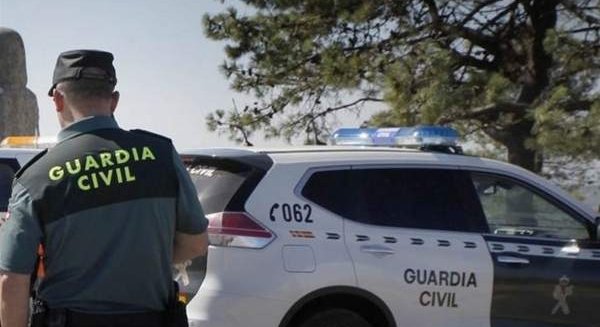 Cae en Málaga una banda dedicada al robo de aceitunas en fincas agrícolas de Andalucía
