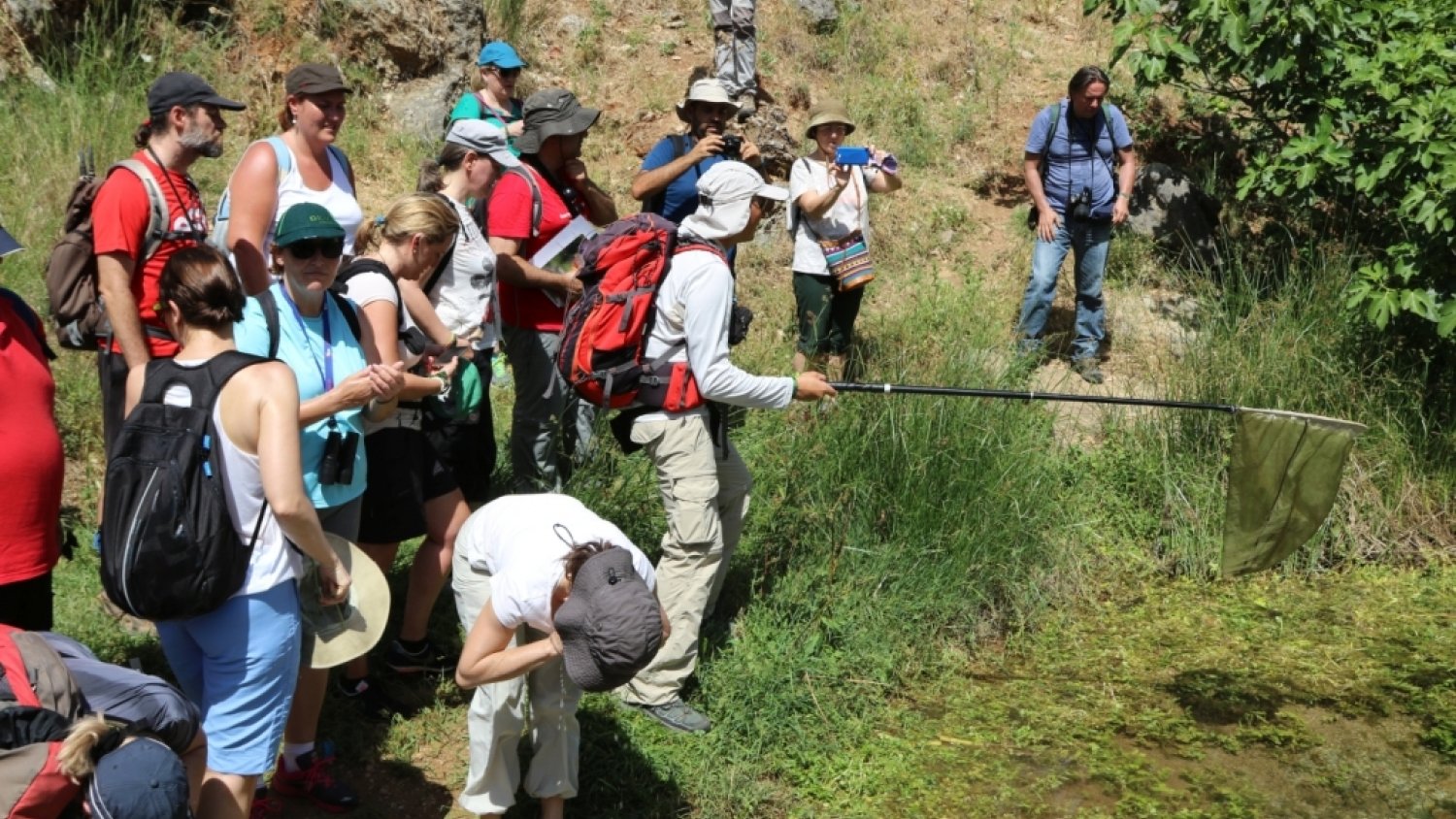 La Diputación organiza un taller gratuito sobre mariposas de la Gran Senda en Jimera de Líbar