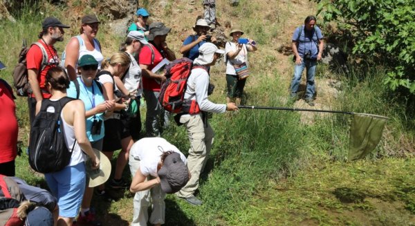 La Diputación organiza un taller gratuito sobre mariposas de la Gran Senda en Jimera de Líbar