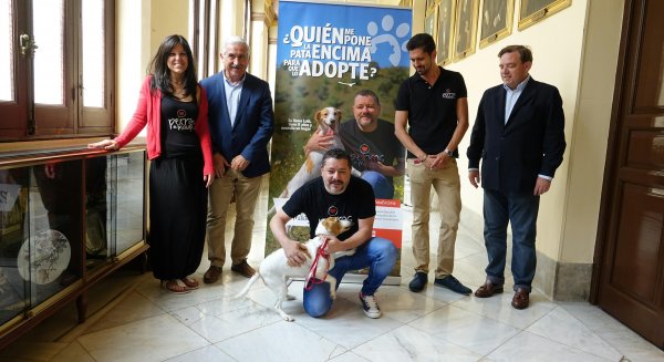 El Ayuntamiento de Málaga lanza una campaña para impulsar la adopción de perros