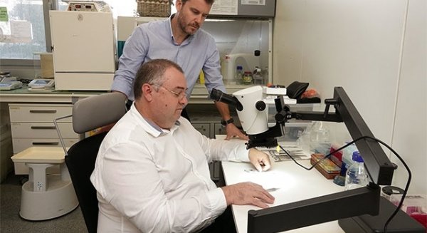 UMA.- La universidad forma parte de un proyecto europeo que desarrollará un modelo de biorrobot y minicorazón humano