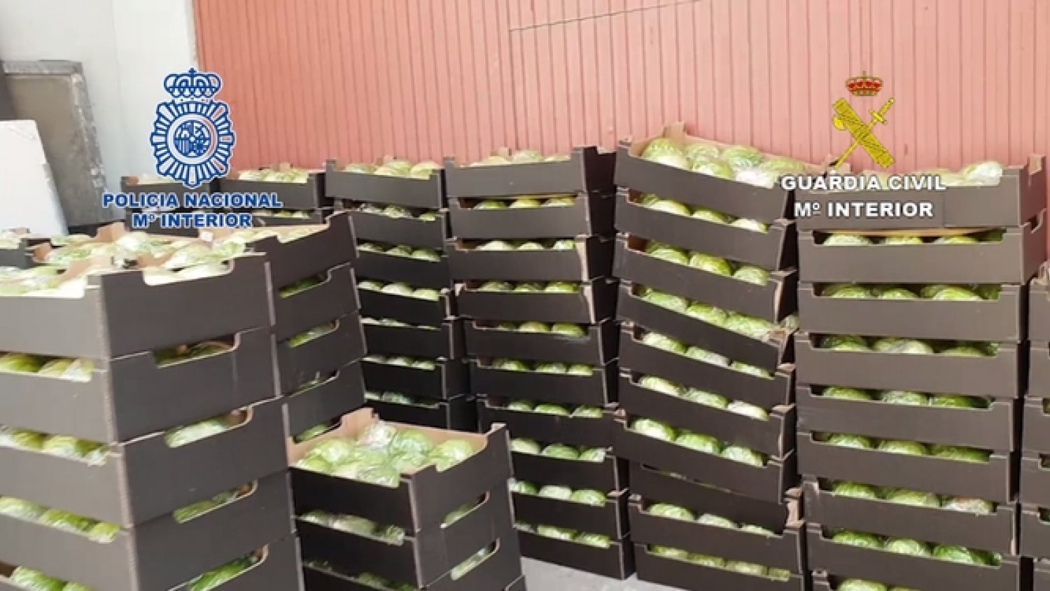 Intervienen 170 kilos de marihuana en palés de lechuga en dirección a Irlanda
