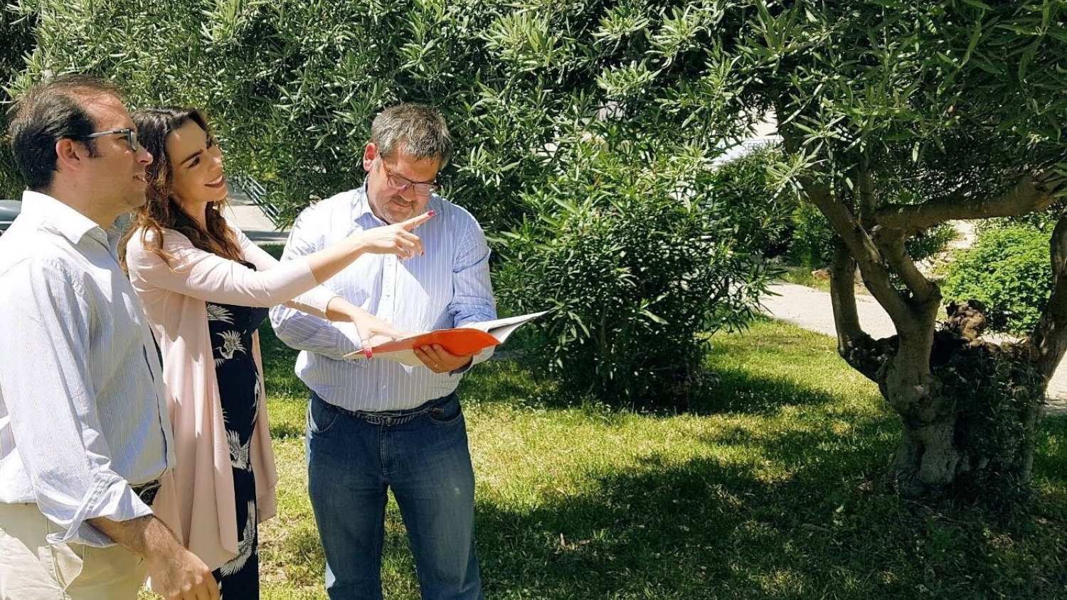 Ciudadanos reclama a la Diputación la creación de campañas específicas para controlar las plagas de la avispilla del castaño y el ébola del olivo