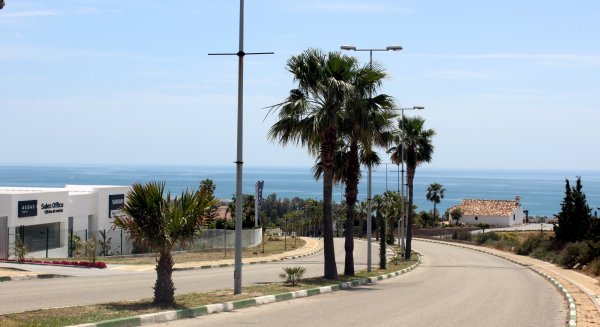 Estepona mejora el acceso a la zona de Selwo con la plantación de más de un centenar de árboles