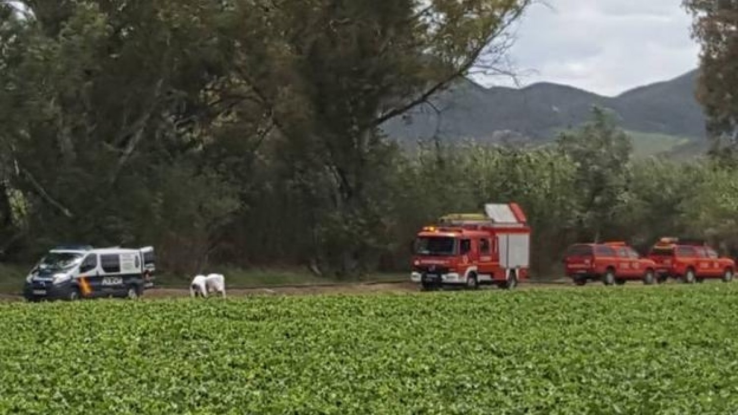 Investigan el hallazgo del cadáver de un hombre en Las Castañetas