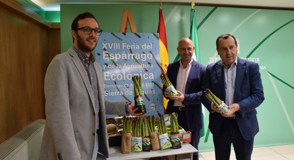Sierra de Yeguas reparte 2.000 kilos de espárragos en su Feria dedicada a este producto y a la agricultura ecológica