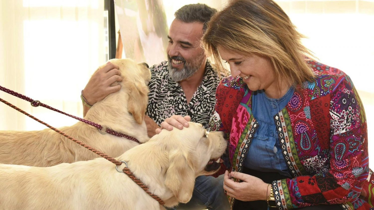 Torremolinos acoge este fin de semana Expocan con más de 1.500 perros de 200 razas