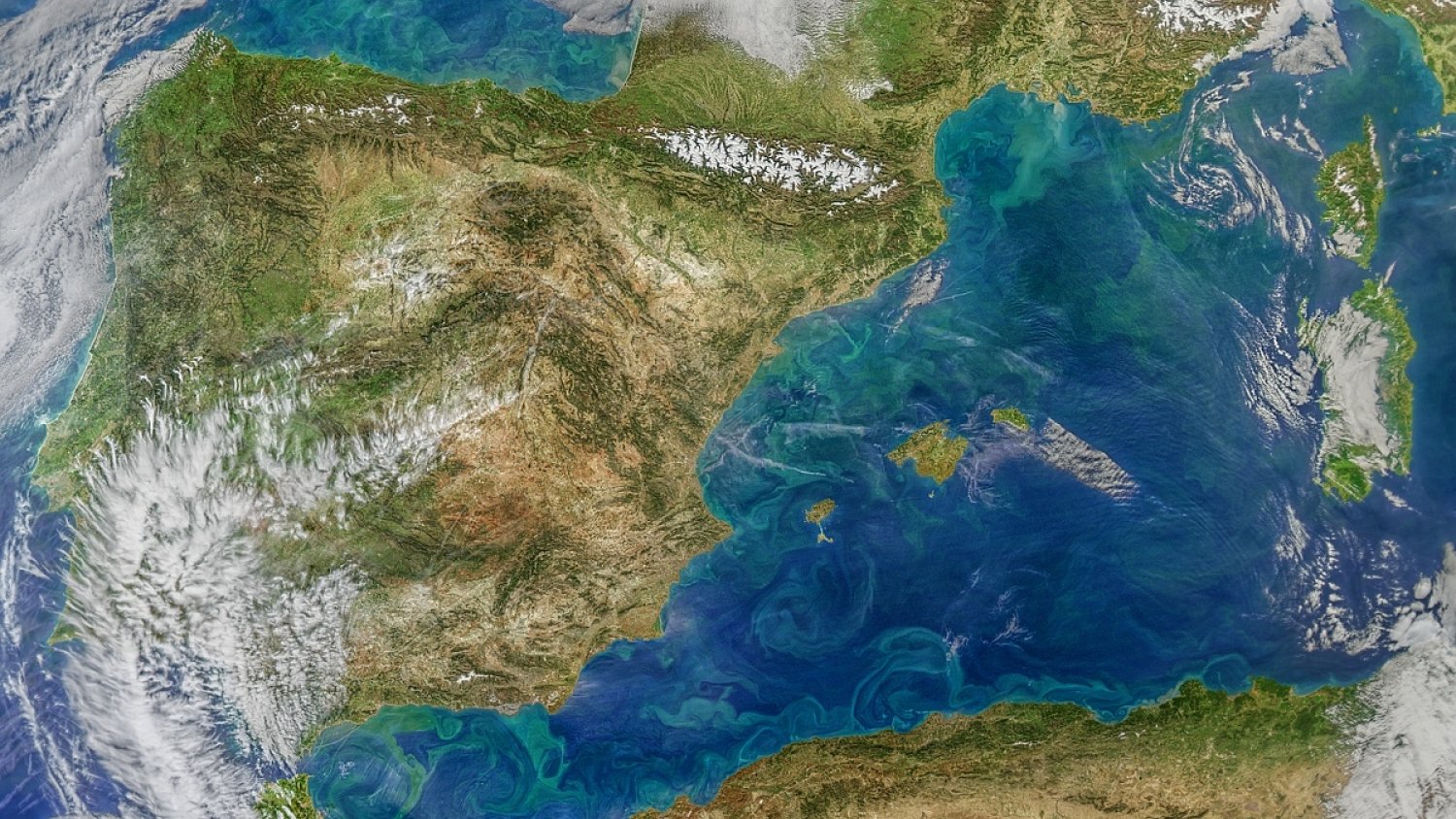 La concentración de clorofila en el Mediterráneo disminuye en promedio un 20% en las últimas dos décadas