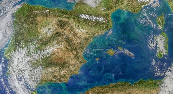 La concentración de clorofila en el Mediterráneo disminuye en promedio un 20% en las últimas dos décadas