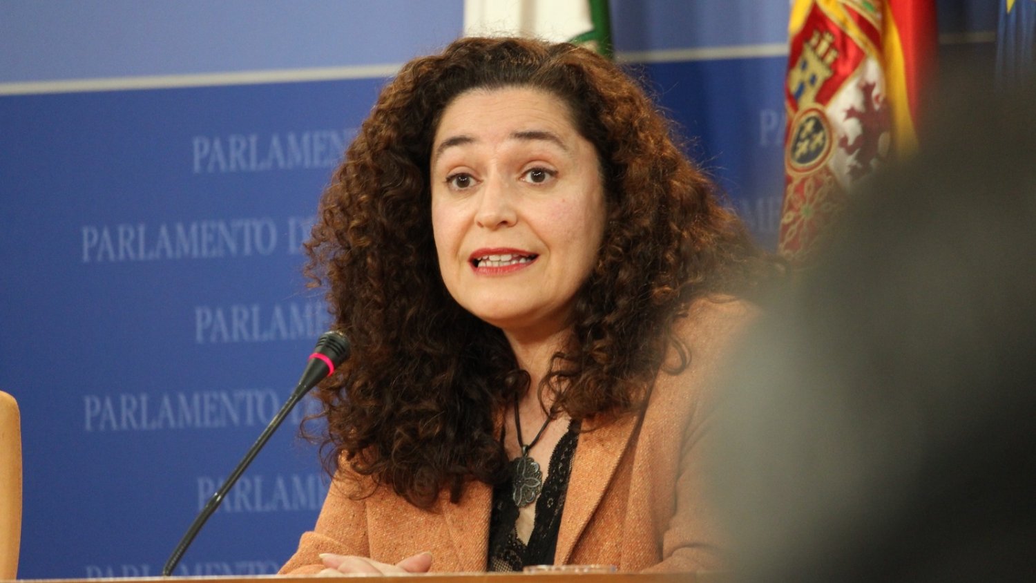 Por Andalucía reclama a Moreno “plenas garantías de protección” para la cueva de Las Estegamitas