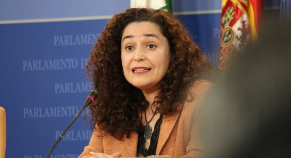 Por Andalucía reclama a Moreno “plenas garantías de protección” para la cueva de Las Estegamitas