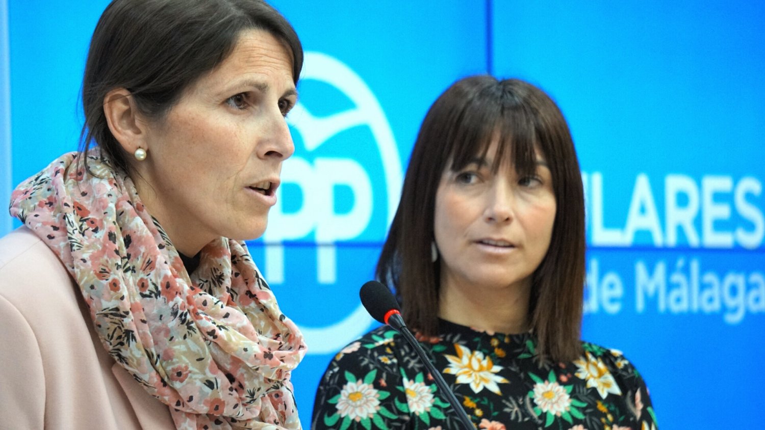 El PP pide a la Junta un programa específico de lucha contra el fracaso escolar