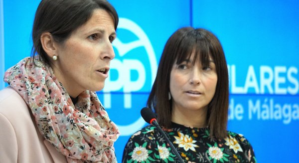 El PP pide a la Junta un programa específico de lucha contra el fracaso escolar