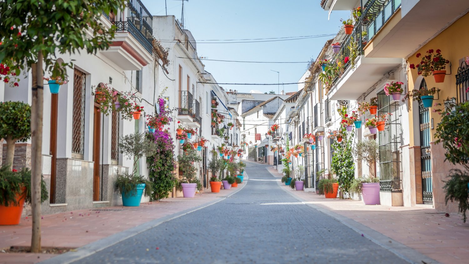 Estepona organiza un programa de actividades para conmemorar las 100 calles remodeladas en el proyecto ‘Estepona, Jardín de la Costa del Sol’