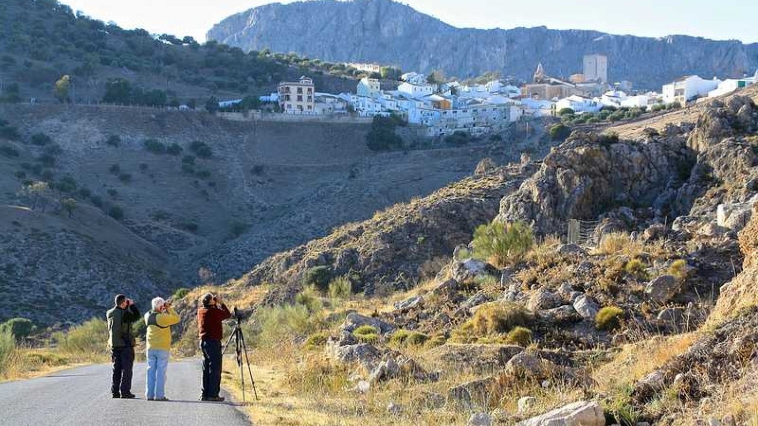 Expertos internacionales en ornitología conocen la oferta de la provincia de Málaga de la mano de Turismo Costa del Sol