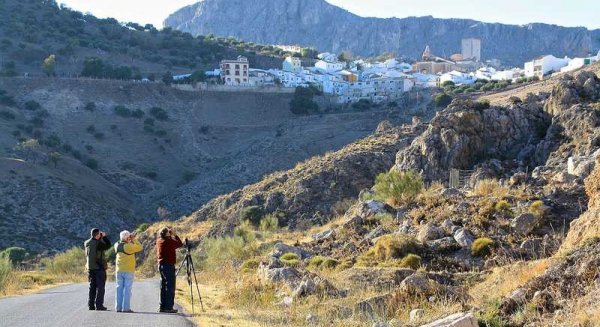 Expertos internacionales en ornitología conocen la oferta de la provincia de Málaga de la mano de Turismo Costa del Sol
