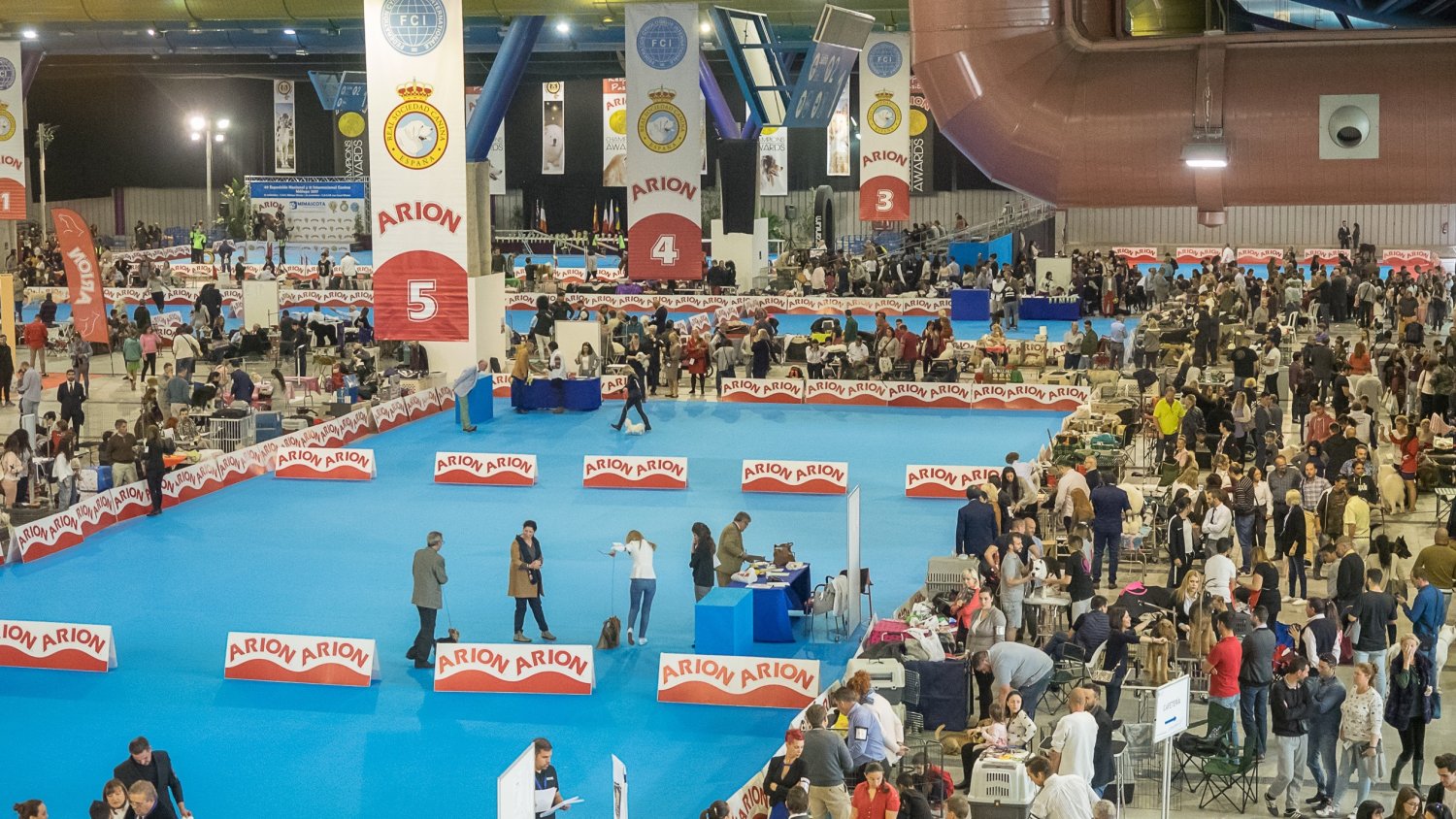 Málaga acogerá en noviembre el evento Mediterranean Winner, uno de los principales certámenes caninos del mundo