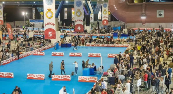 Málaga acogerá en noviembre el evento Mediterranean Winner, uno de los principales certámenes caninos del mundo