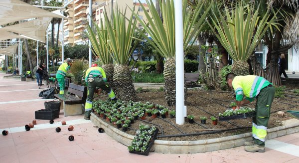 Estepona intensifica la plantación de primavera con 250.000 ejemplares de color y arbustivos