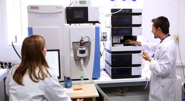 La UMA abre una nueva convocatoria para proyectos de I+D+i