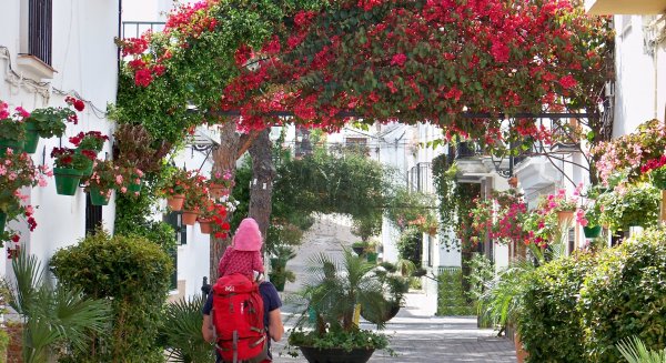 Estepona prepara una ordenanza municipal para evitar la tala de árboles