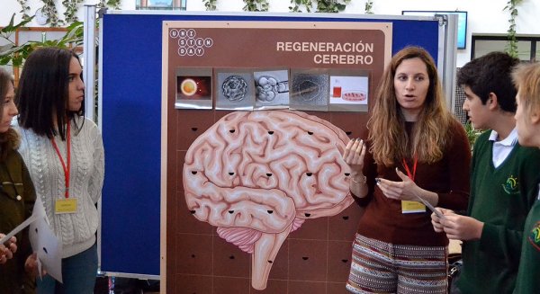 La UMA celebra el 'Unistem Day' con microconferencias y juegos para acercar la investigación a los estudiantes