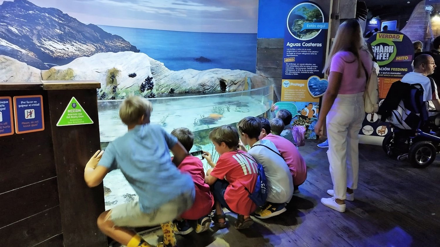 Familias de Refugiados de la Guerra de Ucrania visitan Sea Life Benalmádena