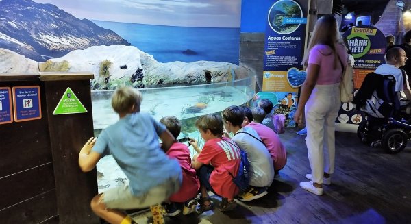 Familias de Refugiados de la Guerra de Ucrania visitan Sea Life Benalmádena