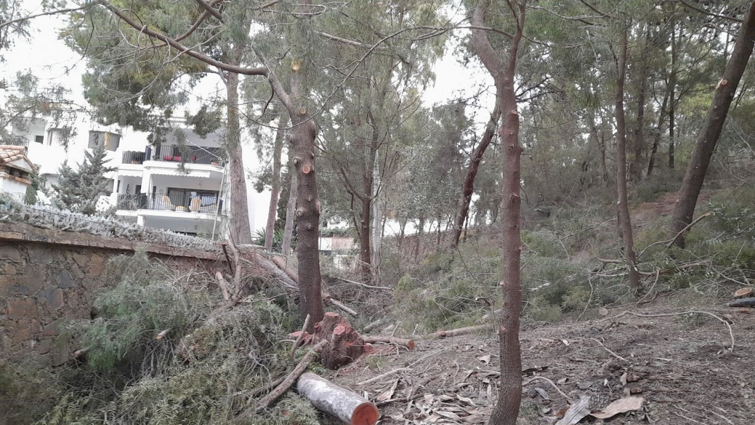El Ayuntamiento inicia los trabajos de prevención de incendios en los parques forestales