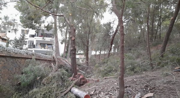 El Ayuntamiento inicia los trabajos de prevención de incendios en los parques forestales