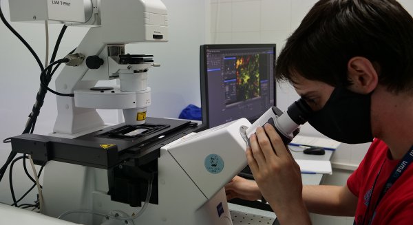 UMA.- La universidad incorpora ocho nuevos investigadores 'Juan de la Cierva' a su plantilla