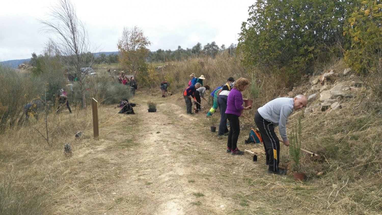La Diputación organiza plantaciones para recuperar espacios degradados en seis municipios