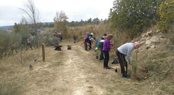La Diputación organiza plantaciones para recuperar espacios degradados en seis municipios