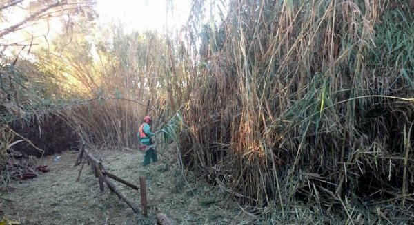 Estepona desbroza los cauces de cinco arroyos para prevenir incendios e inundaciones