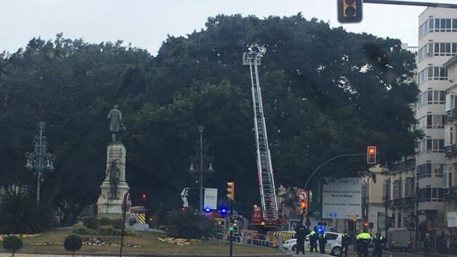 Una rama en mal estado obliga a cortar la Alameda