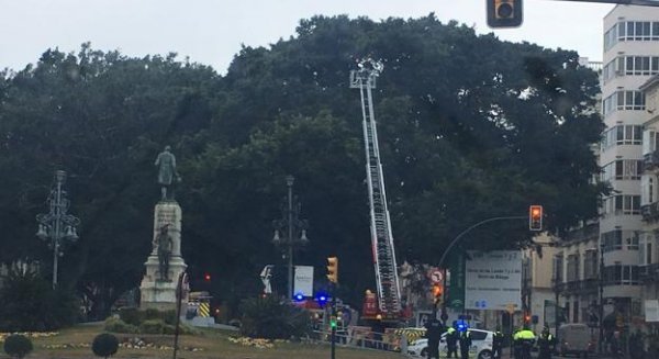 Una rama en mal estado obliga a cortar la Alameda