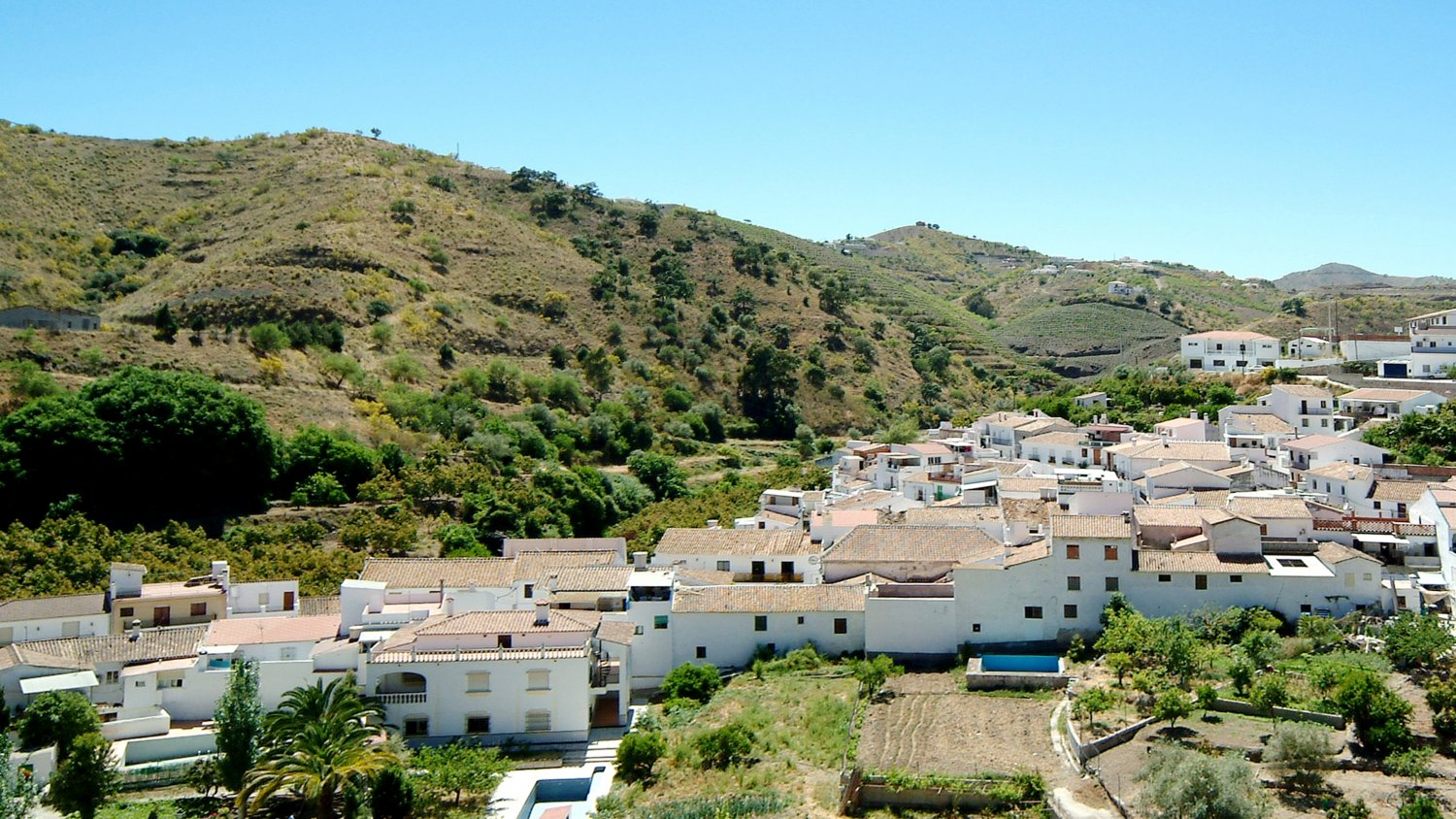 Un mujer de 44 años, asesinada por su pareja de 30 puñaladas en La Viñuela