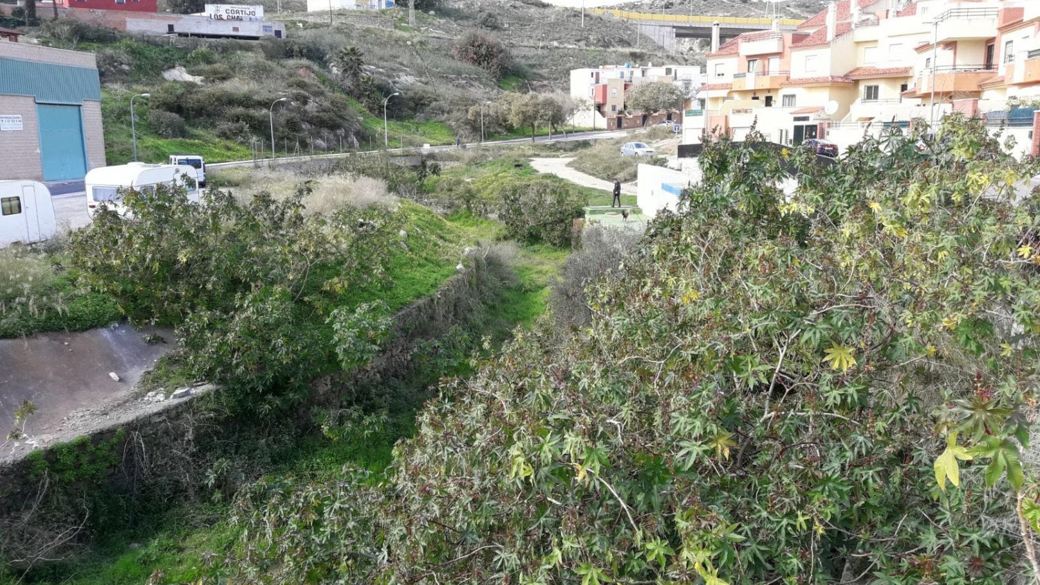 Libres insta al Ayuntamiento a acatar la sentencia del Tribunal Supremo y se encargue de la limpieza de los arroyos