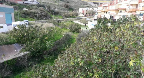 Libres insta al Ayuntamiento a acatar la sentencia del Tribunal Supremo y se encargue de la limpieza de los arroyos