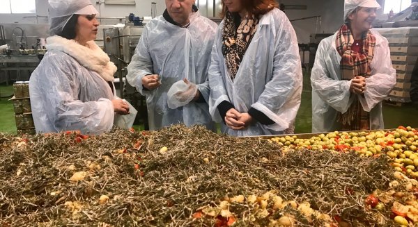 La aceituna Aloreña destaca por su internacionalización dentro de los productos agroalimentarios