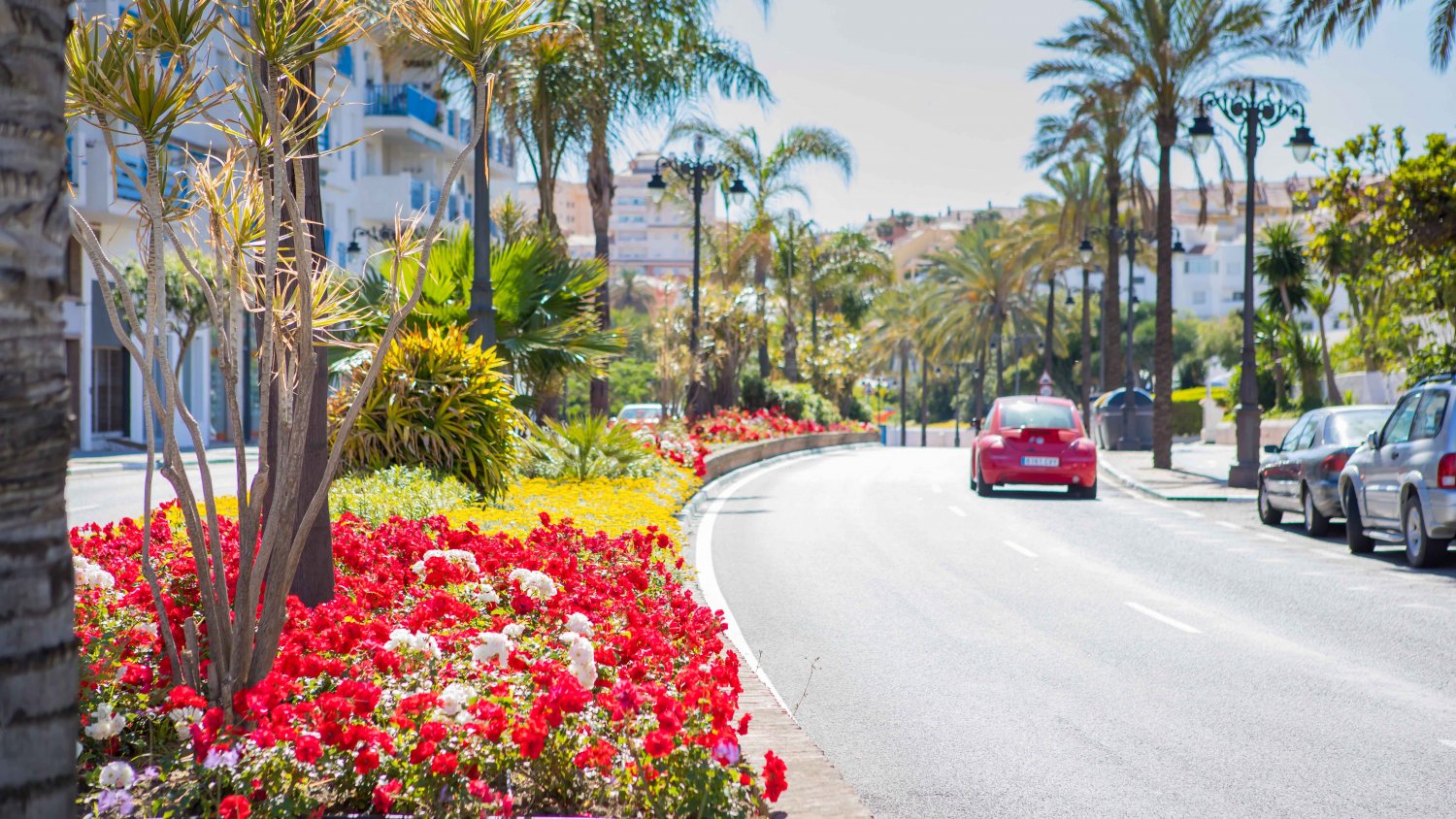 Estepona adjudica el nuevo contrato de mantenimiento de playas y jardines