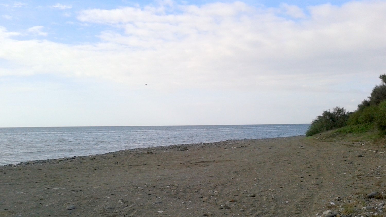 Estepona solicita a la Junta autorización para una playa canina en La Morocha