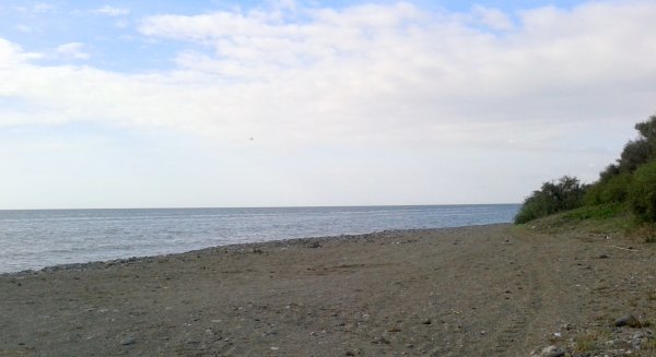 Estepona solicita a la Junta autorización para una playa canina en La Morocha