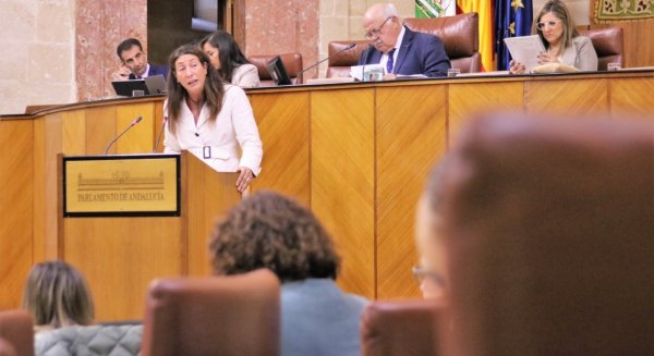 Loles López apela a la unidad ante la violencia de género porque 
