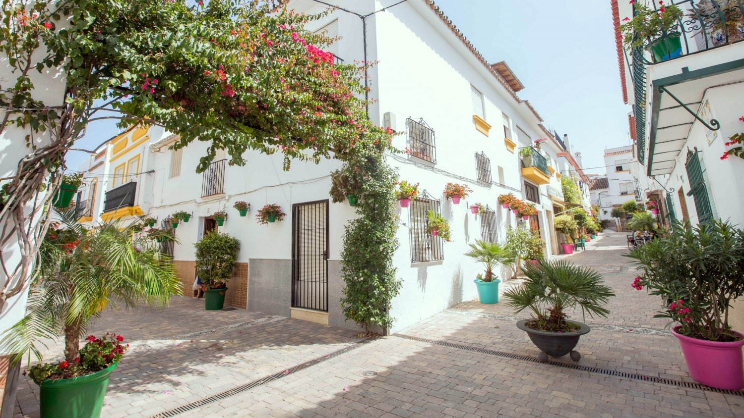 Estepona destaca en FITUR el potencial como reclamo turístico de 'Estepona, Jardín de la Costa del Sol' que alcanza 100 calles renovadas